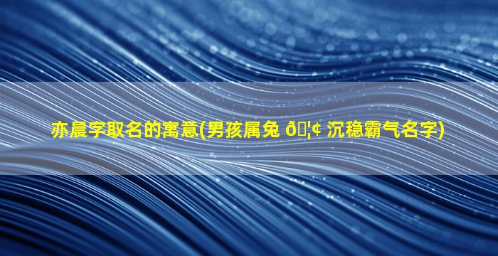 亦晨字取名的寓意(男孩属兔 🦢 沉稳霸气名字)